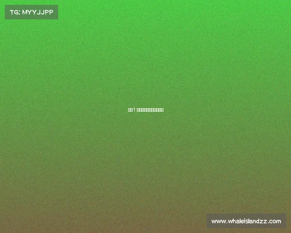 星际1 电子竞技星际争霸电竞文