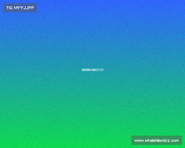 梦幻西游视频 总决赛2020